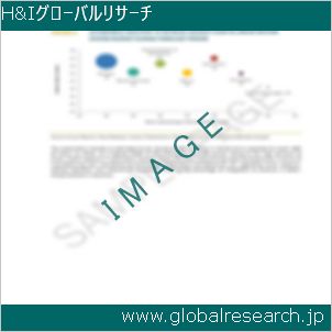 グローバルリサーチ調査レポートのイメージ